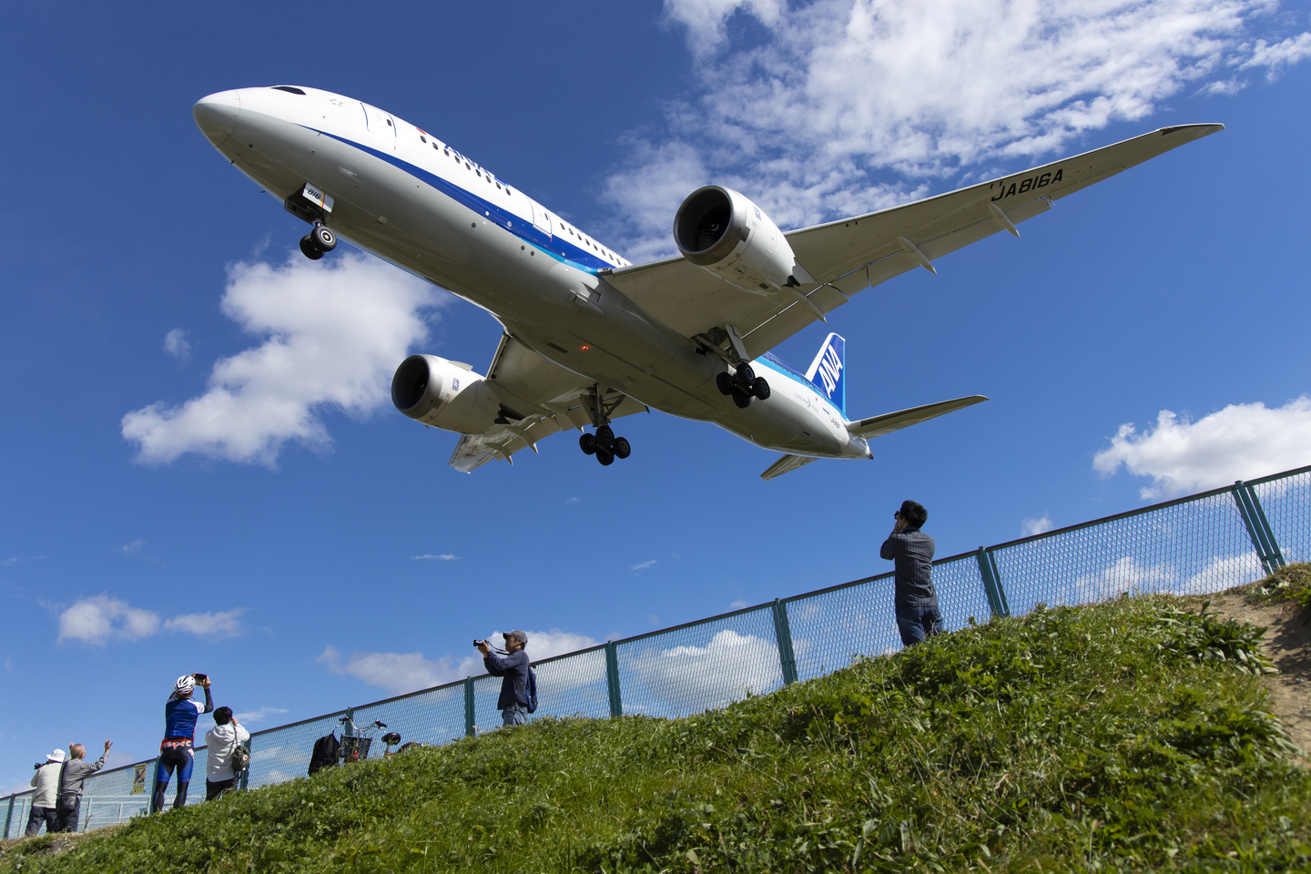 キヤノン RF24-105mm F4 L IS USM レビュー｜コンパクトなサイズに高